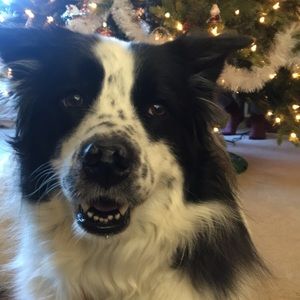 Meet your Posher, Julianne